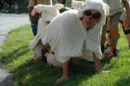 29 moutons04